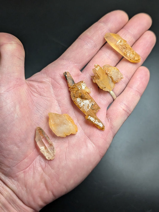 A hand holds five translucent amber-colored crystal fragments with natural, irregular shapes and visible internal inclusions.