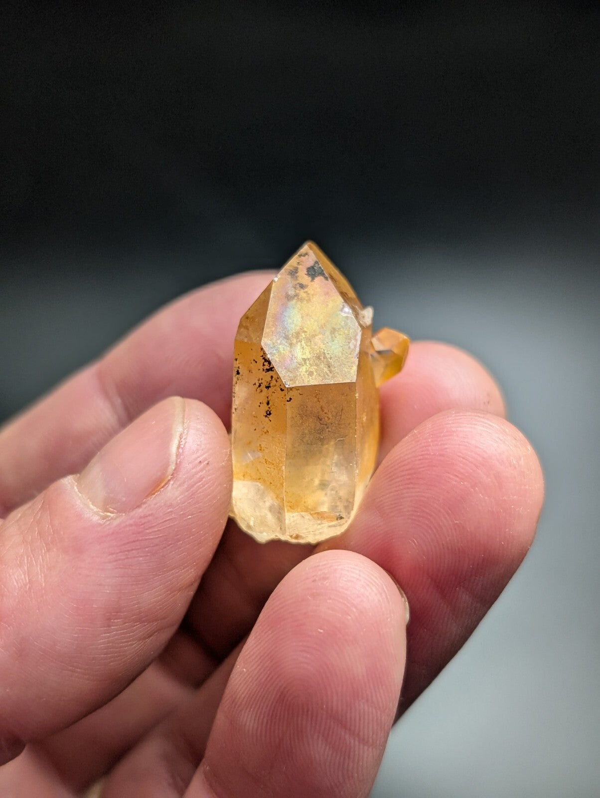 A translucent golden-yellow citrine crystal with a pointed, faceted top and natural inclusions.