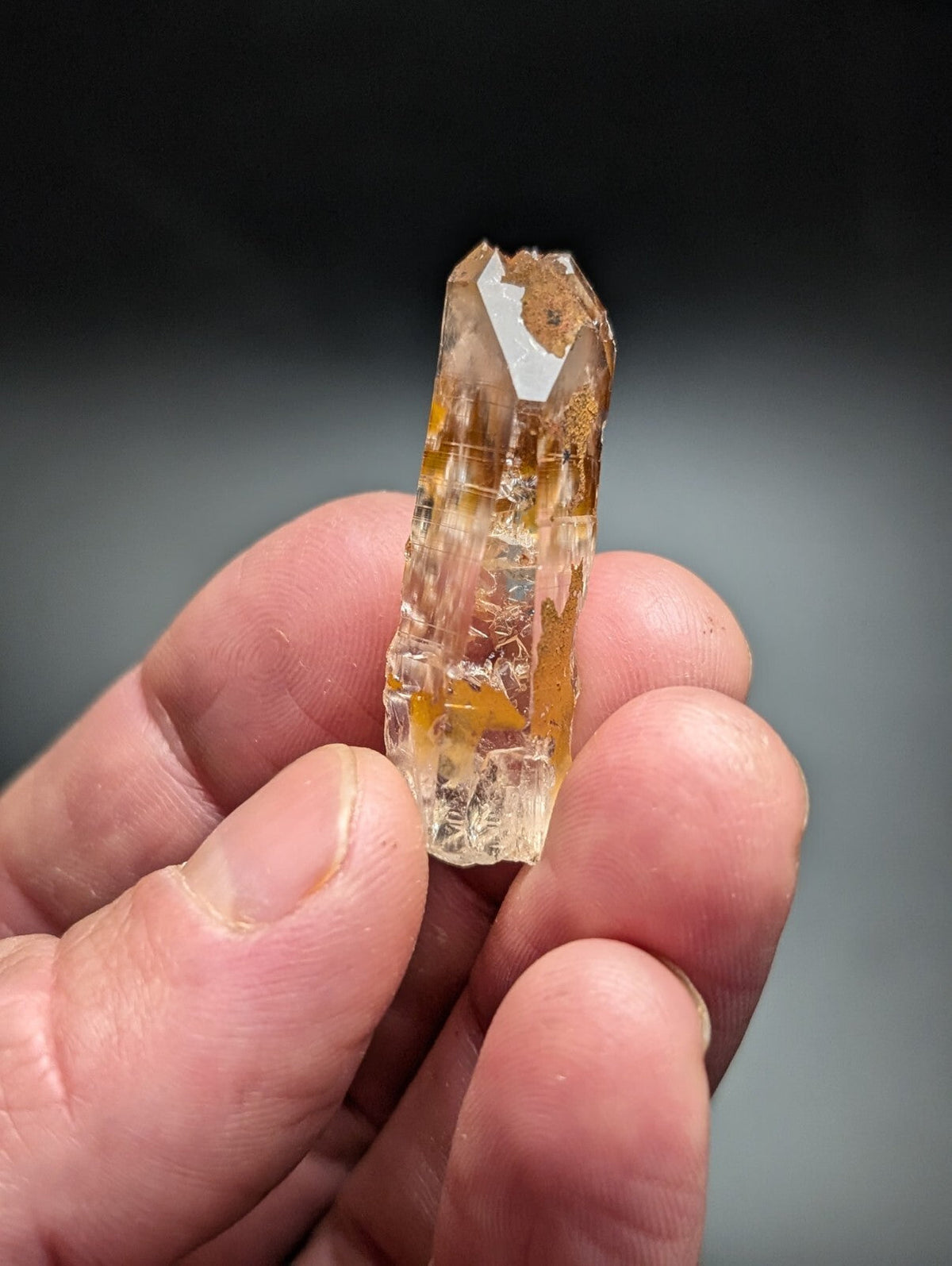 A translucent golden-yellow citrine crystal with natural inclusions and a pointed, faceted top.