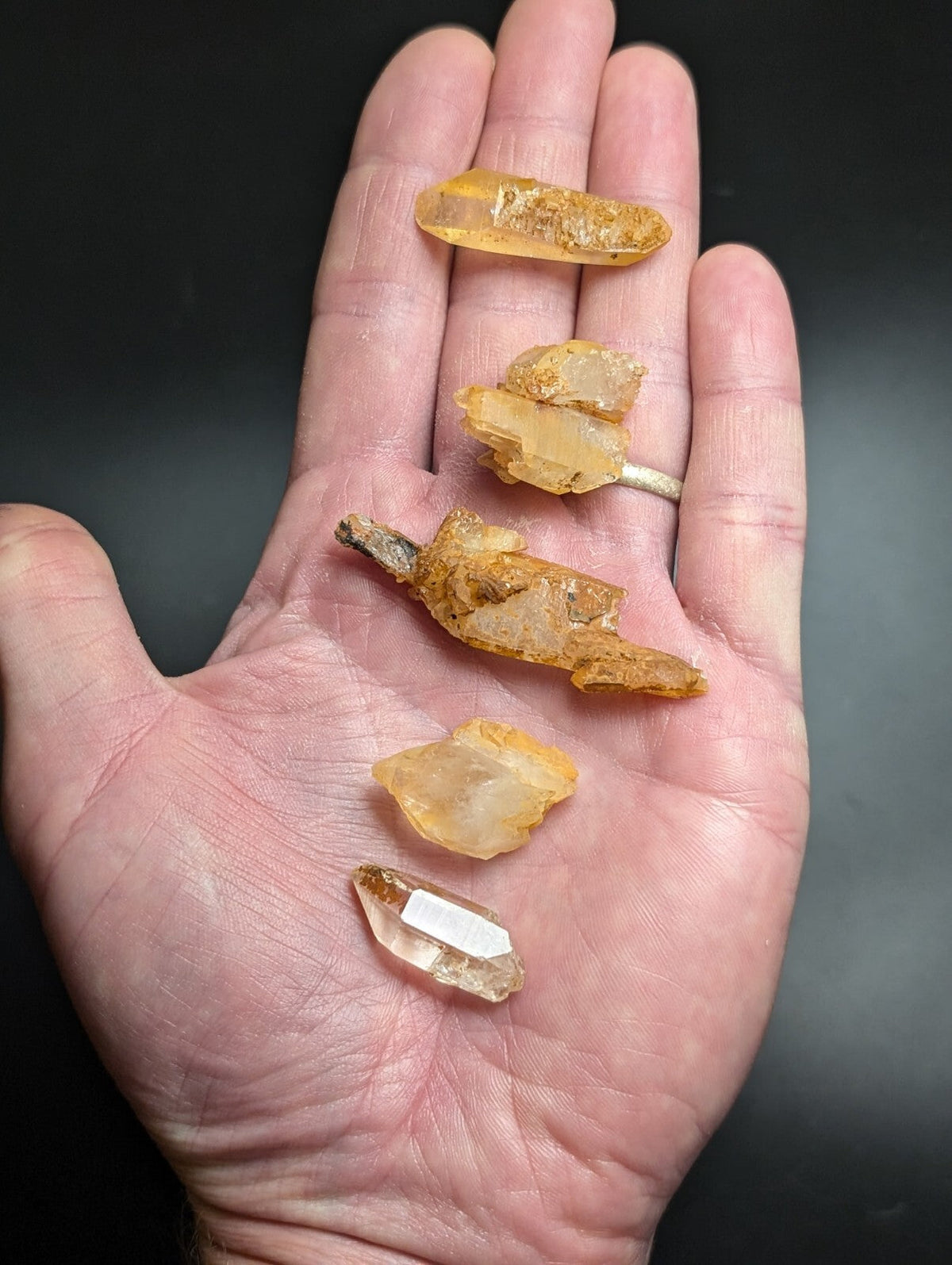 A hand holds five distinct pieces of golden-yellow citrine crystals, each with unique facets and natural inclusions.