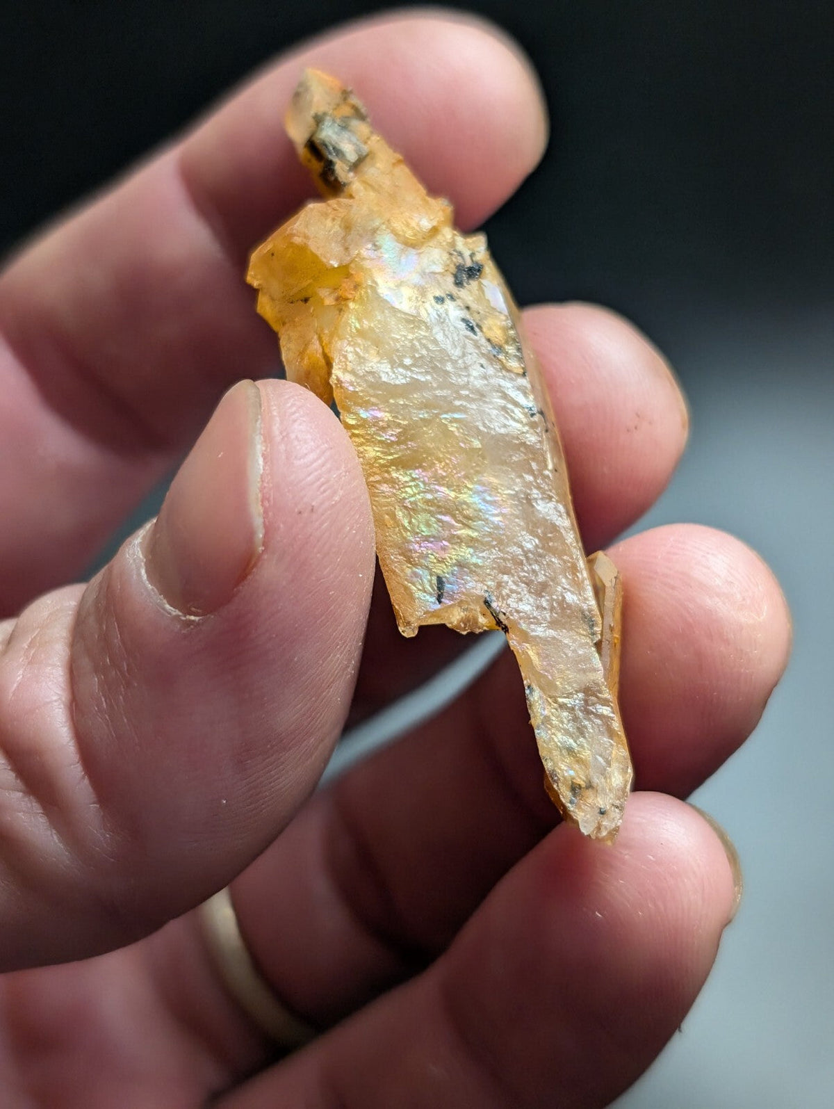 A translucent golden-yellow crystal with iridescent, rainbow-like flashes on its surface.