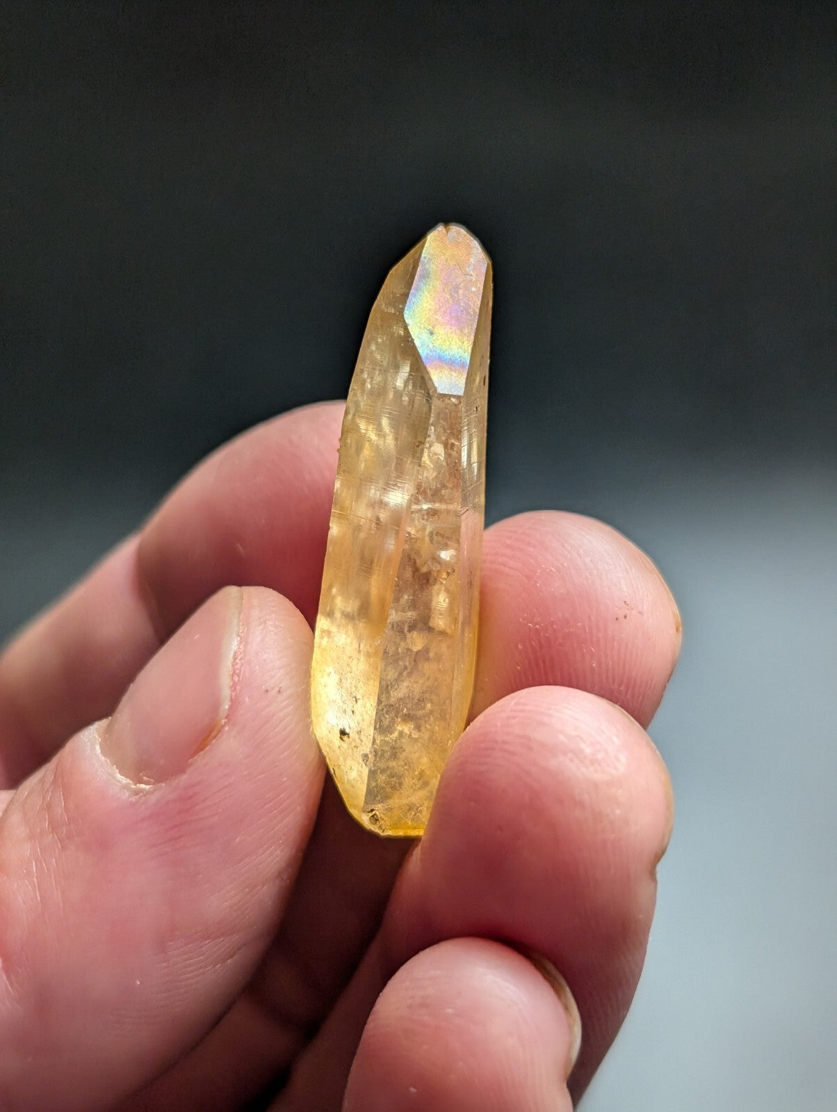 A translucent golden-yellow citrine crystal with a pointed, faceted tip and subtle rainbow iridescence.