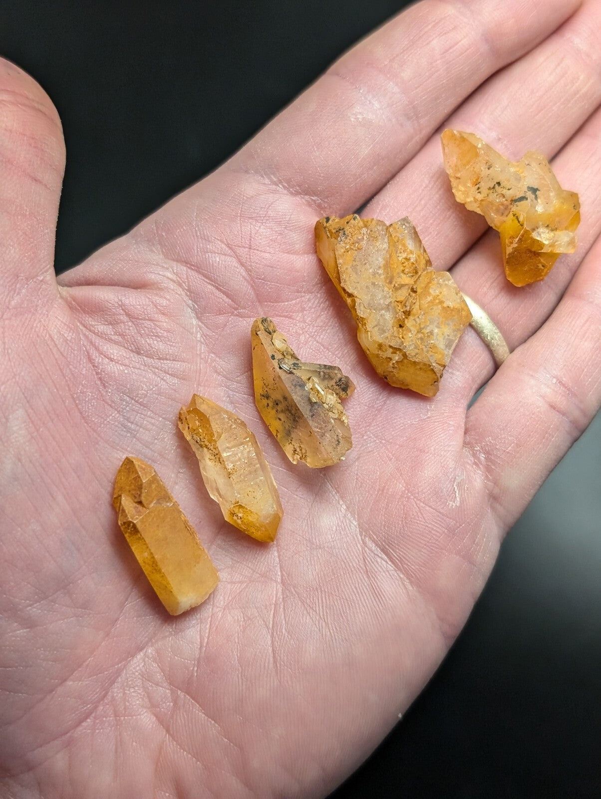 A hand holds five translucent golden-yellow citrine crystals, each with natural facets and earthy inclusions.