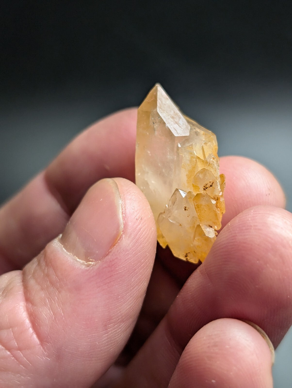 A translucent yellow-orange crystal cluster with sharp, faceted points and a natural, earthy texture.