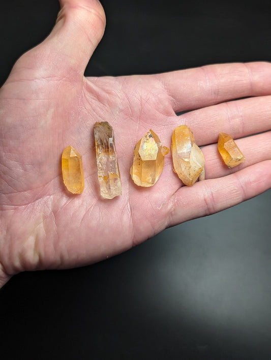 A hand holds five distinct yellow-orange citrine crystals, each with natural facets and varying translucency.