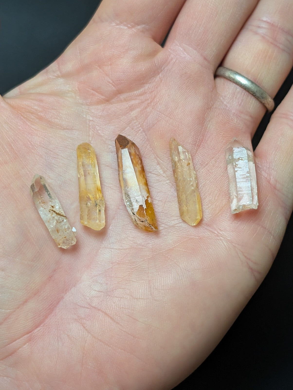 Five translucent citrine crystals, varying in size and hue from pale yellow to deep amber.