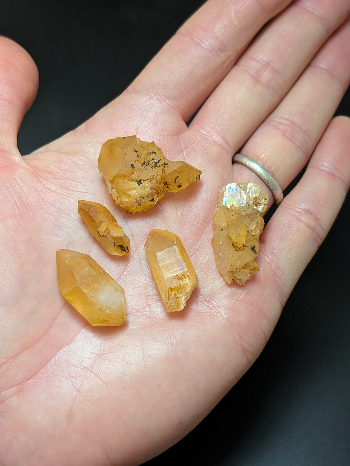 A hand holds several golden-yellow citrine crystals, some with rough edges and others faceted.