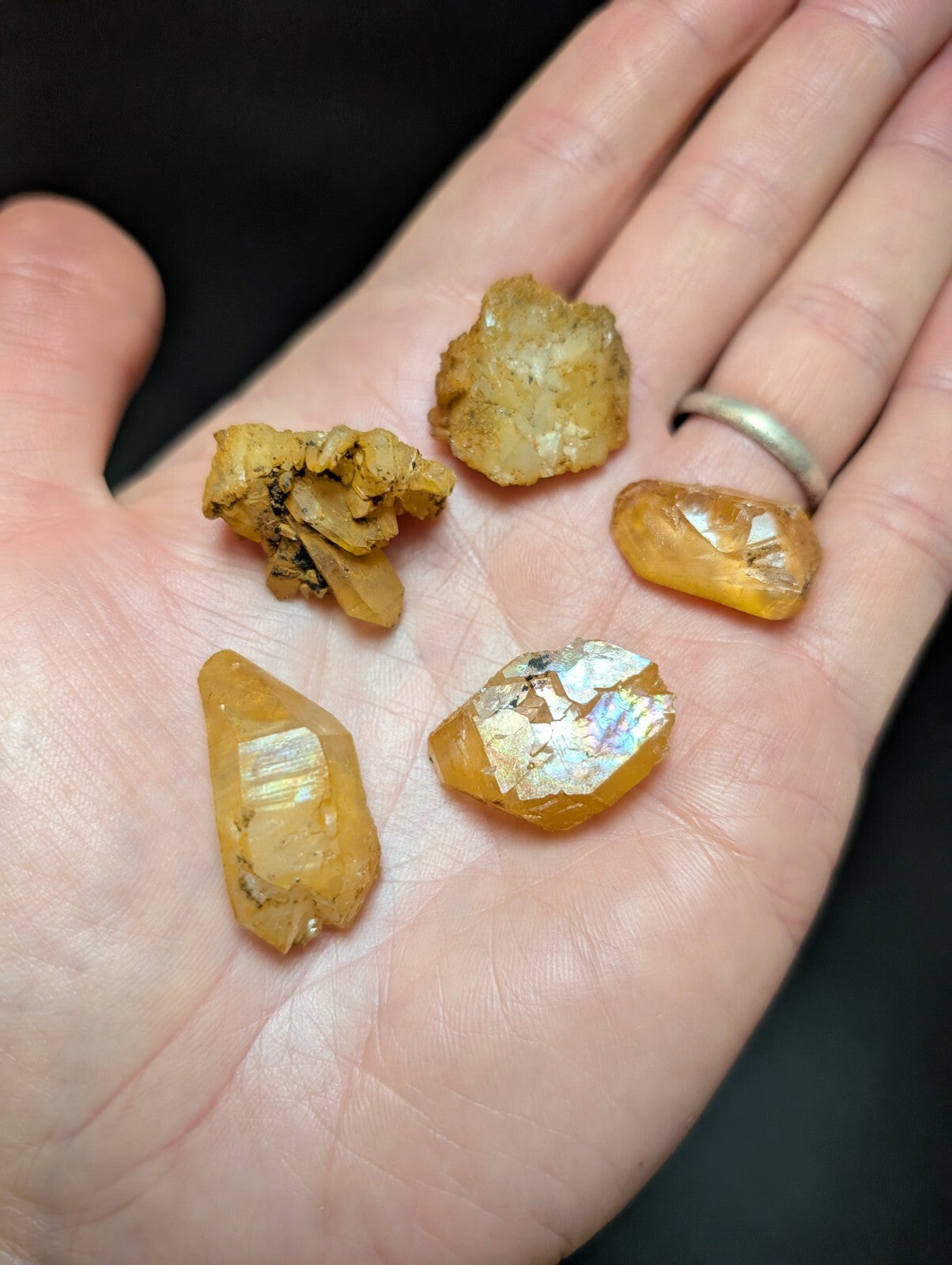 A hand holds five rough, amber-hued citrine crystals with natural facets and some displaying iridescent flashes.
