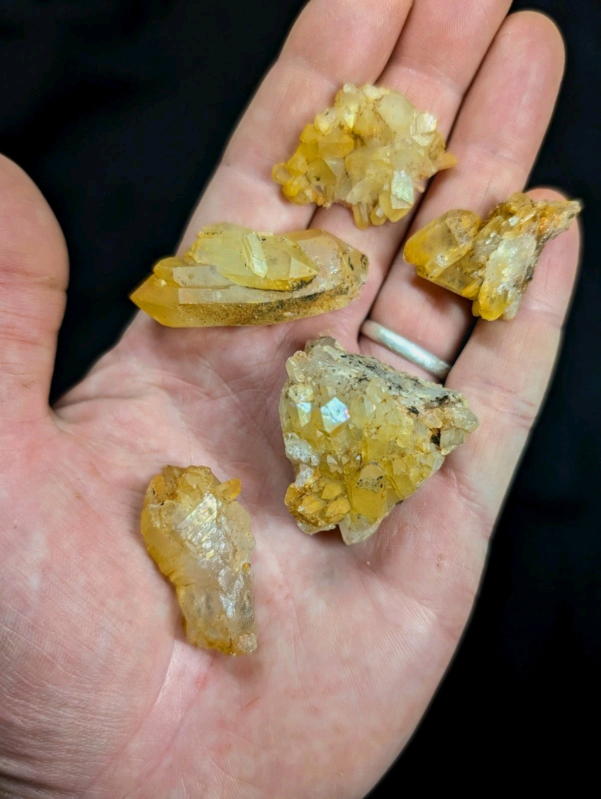 A hand holds five translucent yellow-orange crystal specimens with jagged, faceted surfaces and some embedded mineral inclusions.