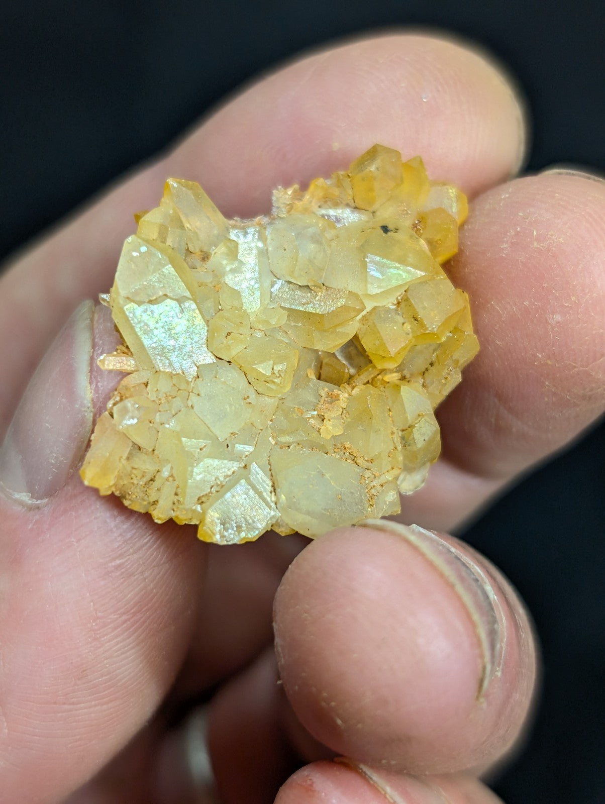 A cluster of translucent yellow crystals with sharp, faceted edges and a slightly iridescent sheen.