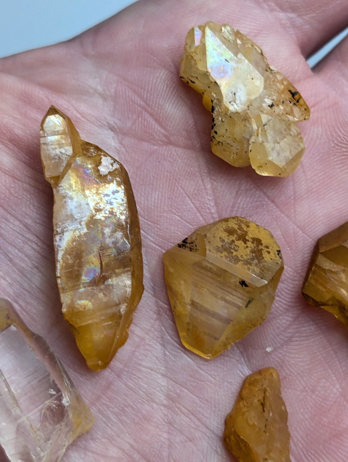 Golden-yellow citrine crystals with iridescent facets and natural inclusions held in an open palm from set of 6 arkansas quartz crystals