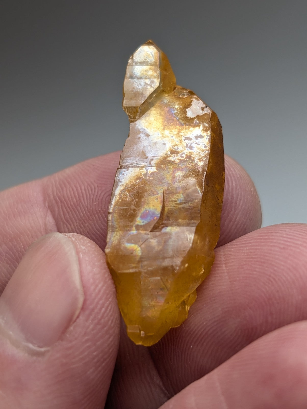 A translucent golden-yellow Arkansas quartz crystal with natural iridescence and faceted natural formation in a set of 6