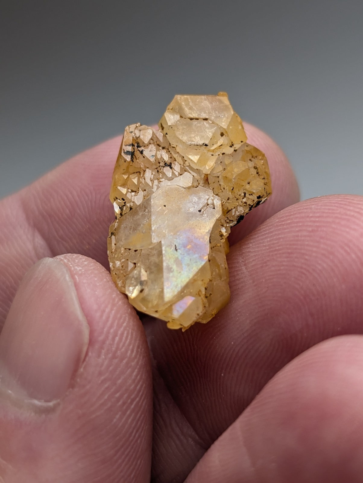 A hand holding a cluster of translucent yellow Arkansas quartz crystals with natural iridescence set of 6 unique crystals