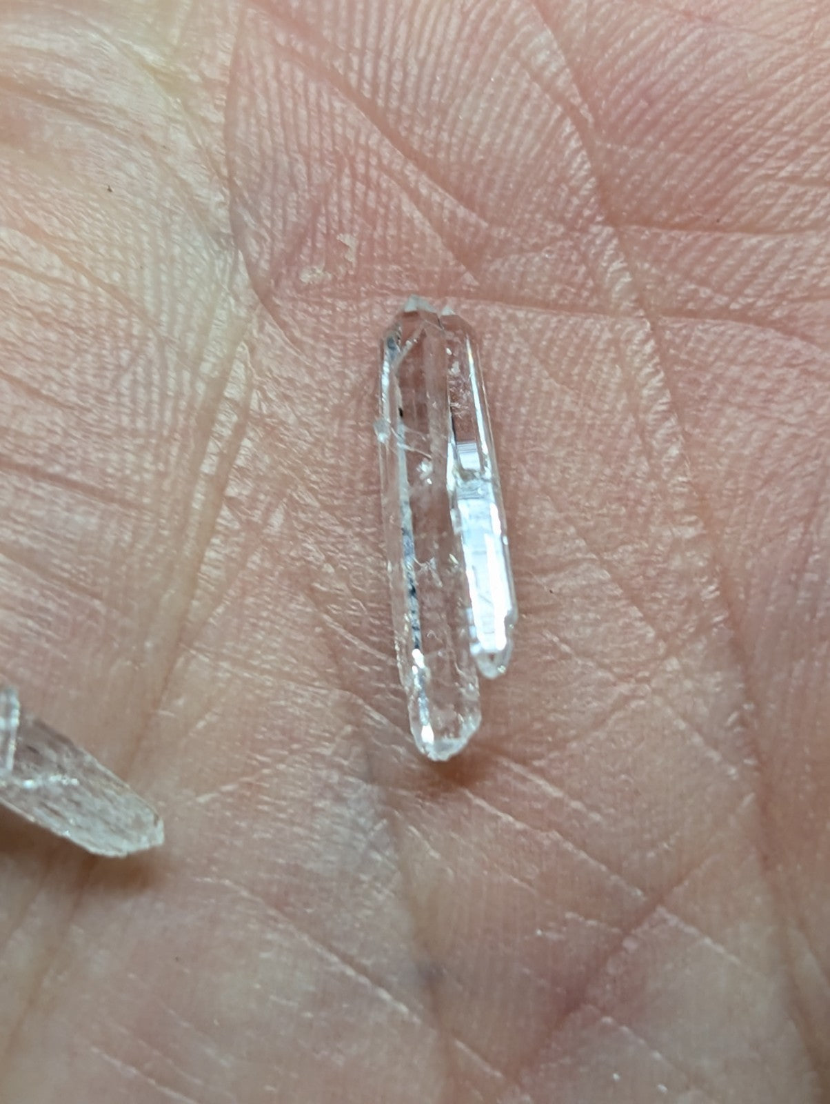 A clear, transparent quartz crystal with a smooth, elongated shape and subtle internal reflections.