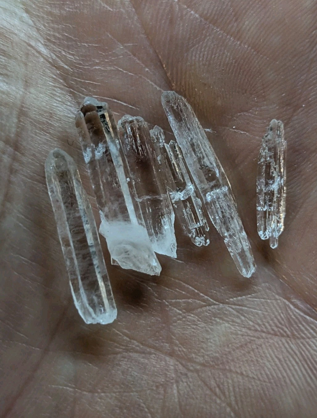 Clear, translucent quartz crystals with pointed tips and natural facets rest in the palm.