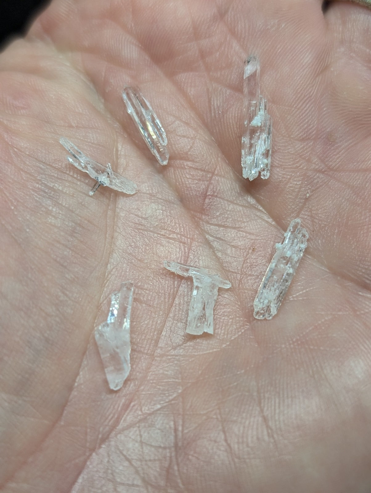 Clear, translucent quartz crystals with pointed tips and natural facets.