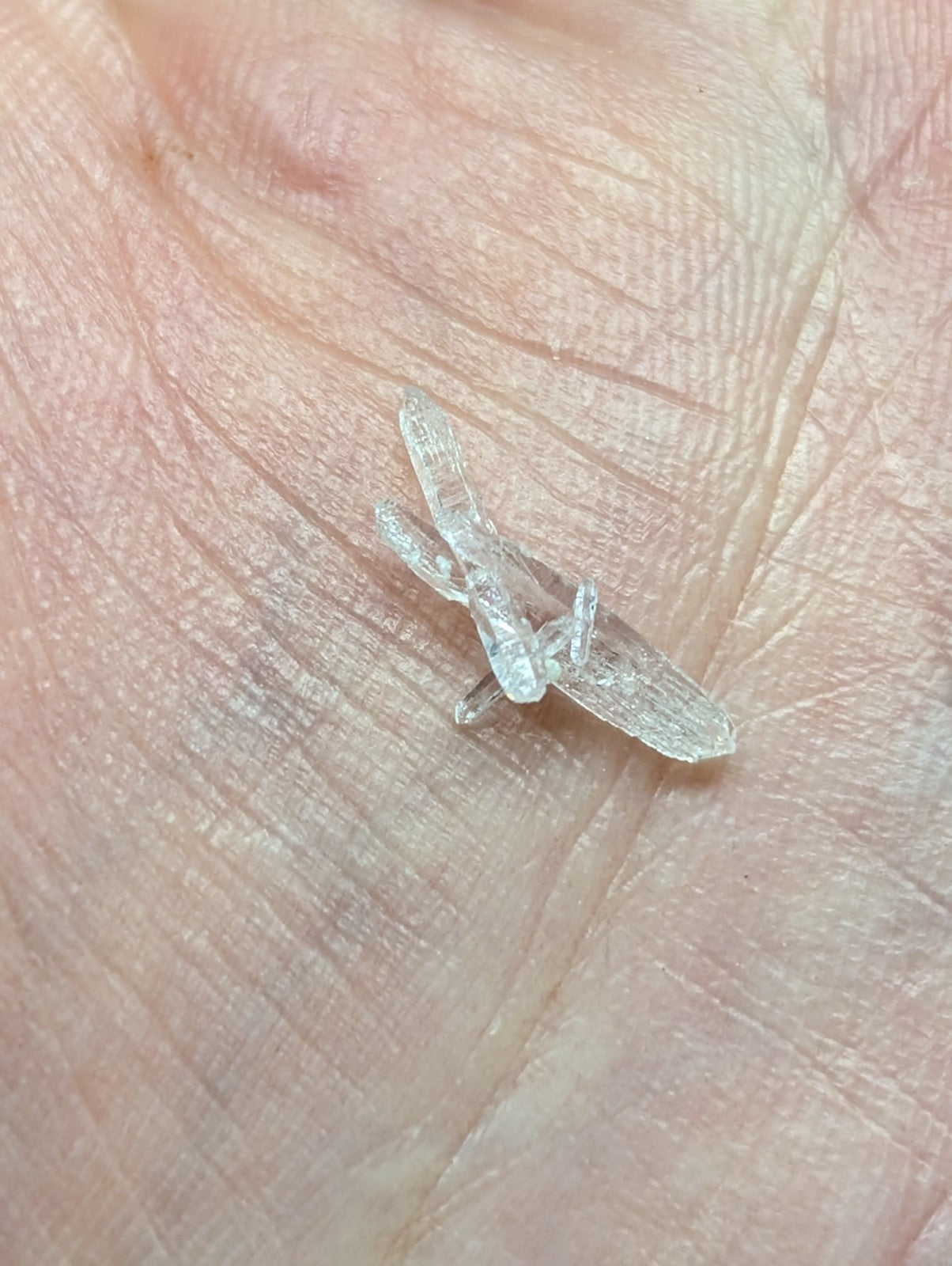 A clear, translucent crystal with a jagged, irregular shape and multiple facets.