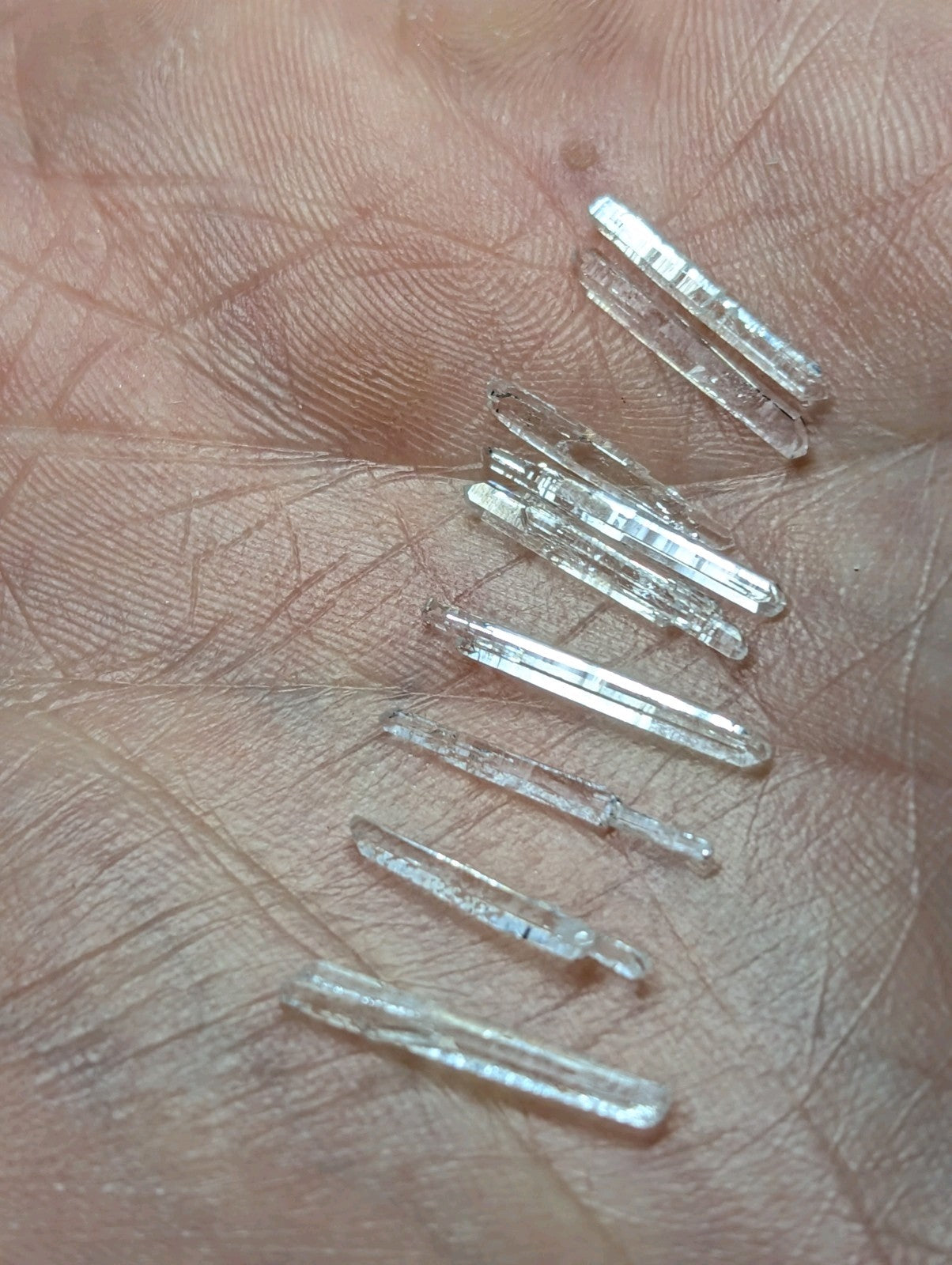 Clear, translucent quartz crystals with pointed tips and flat bases rest in the palm of a hand.