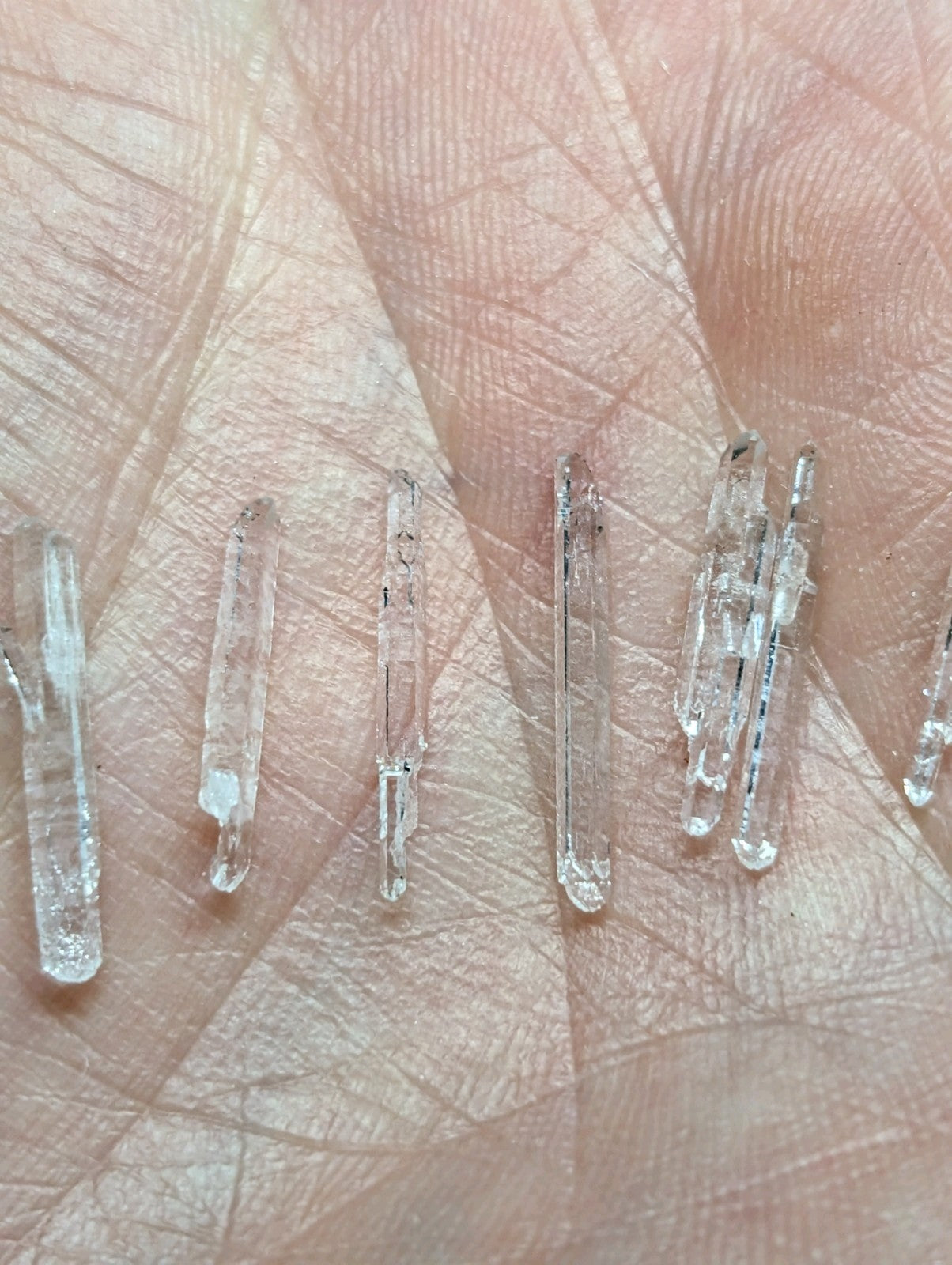Clear, translucent crystal formations with pointed tips and natural facets resting on a palm.