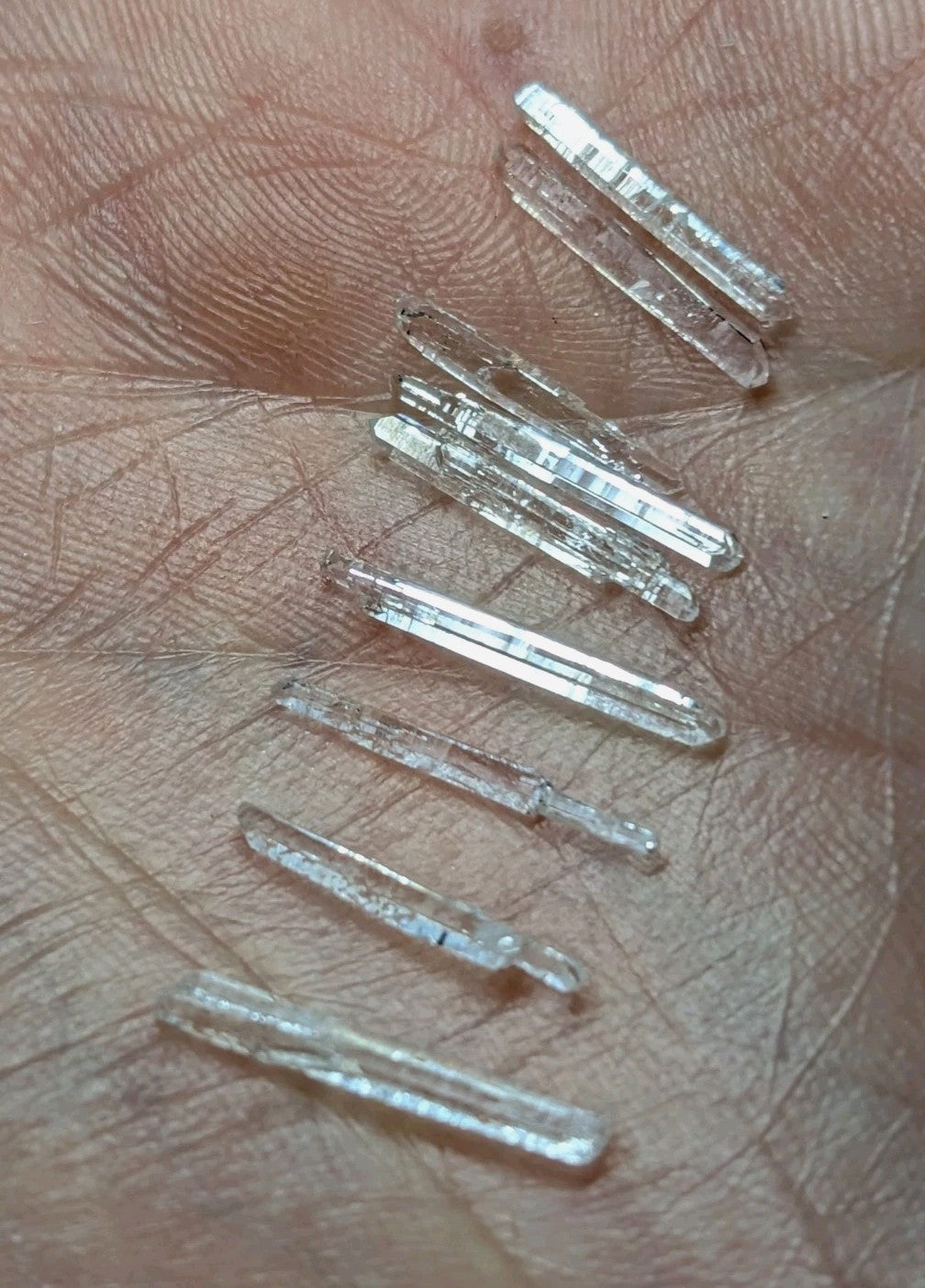 Clear, translucent quartz crystals with pointed tips and visible internal striations rest in the palm.