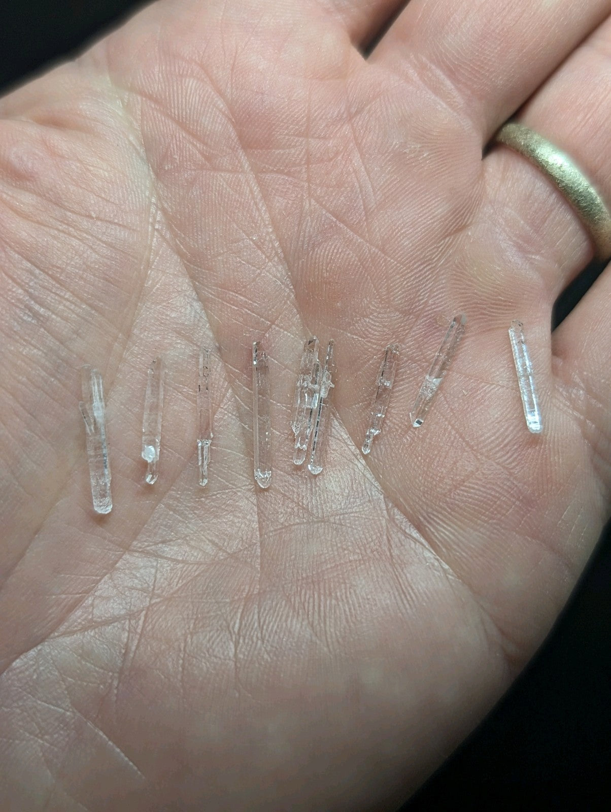A collection of clear, translucent quartz crystals with pointed tips and varying lengths rests in an open palm.