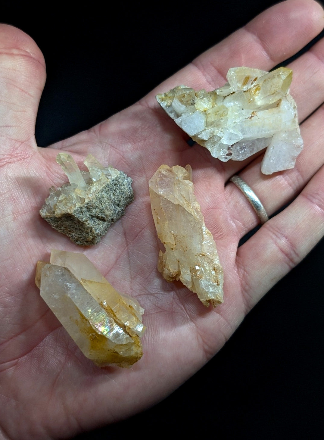A hand holds four distinct quartz crystals, featuring transparent to milky white and golden-yellow hues with natural facets and inclusions.