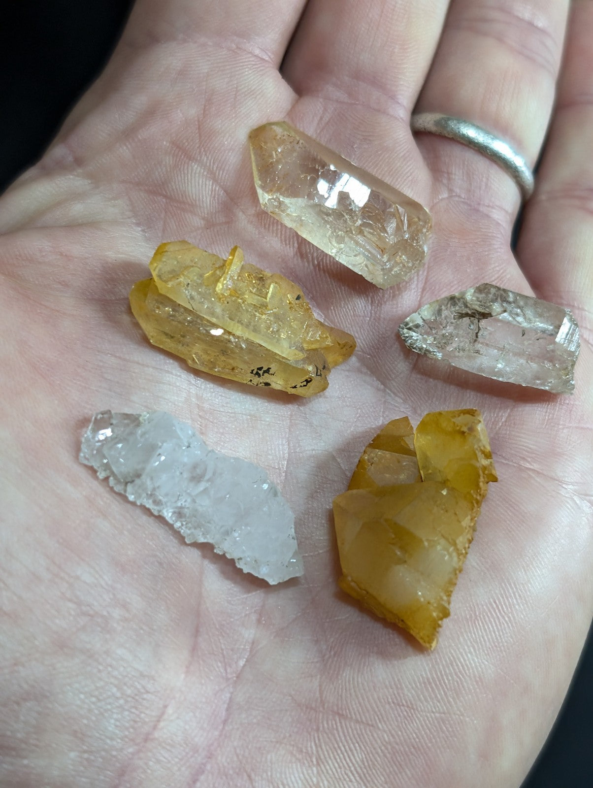 A hand holds five distinct quartz crystals, featuring transparent and golden-yellow hues with natural facets and rough edges.