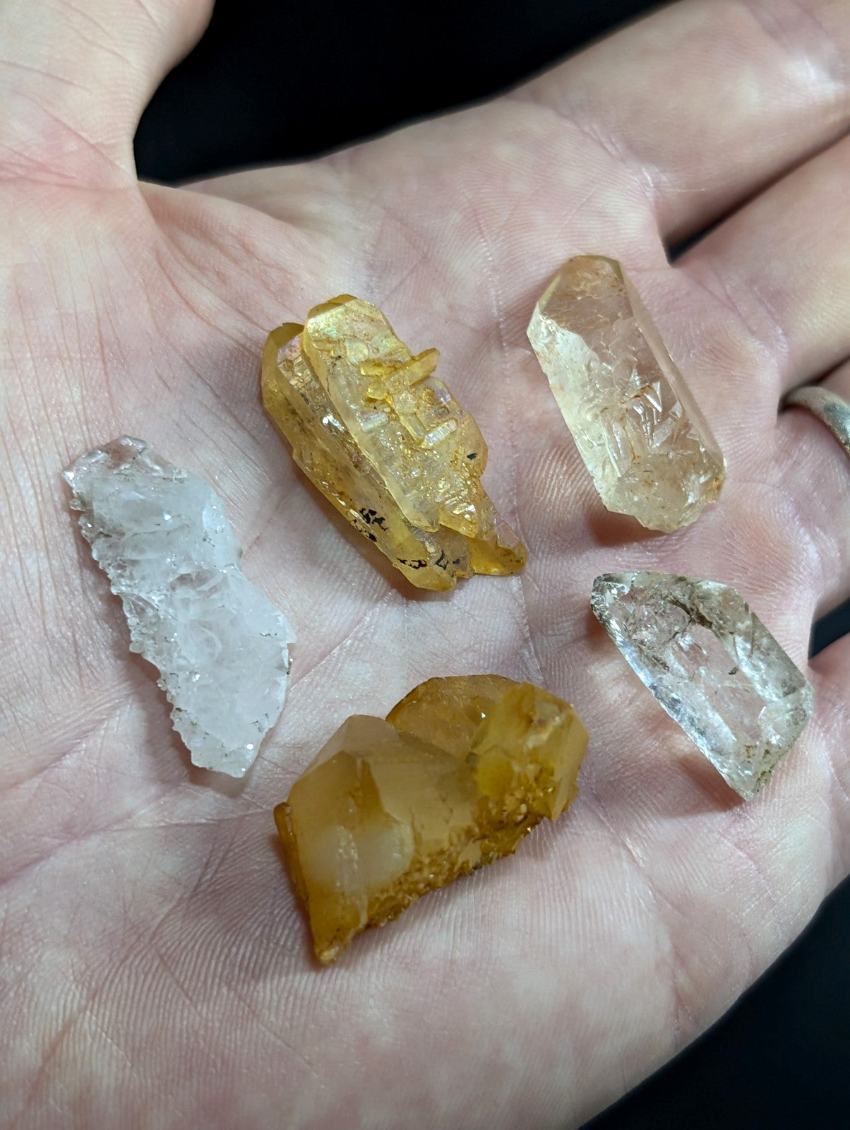 A hand holds five raw, translucent quartz crystals in varying shades of clear and golden-yellow.