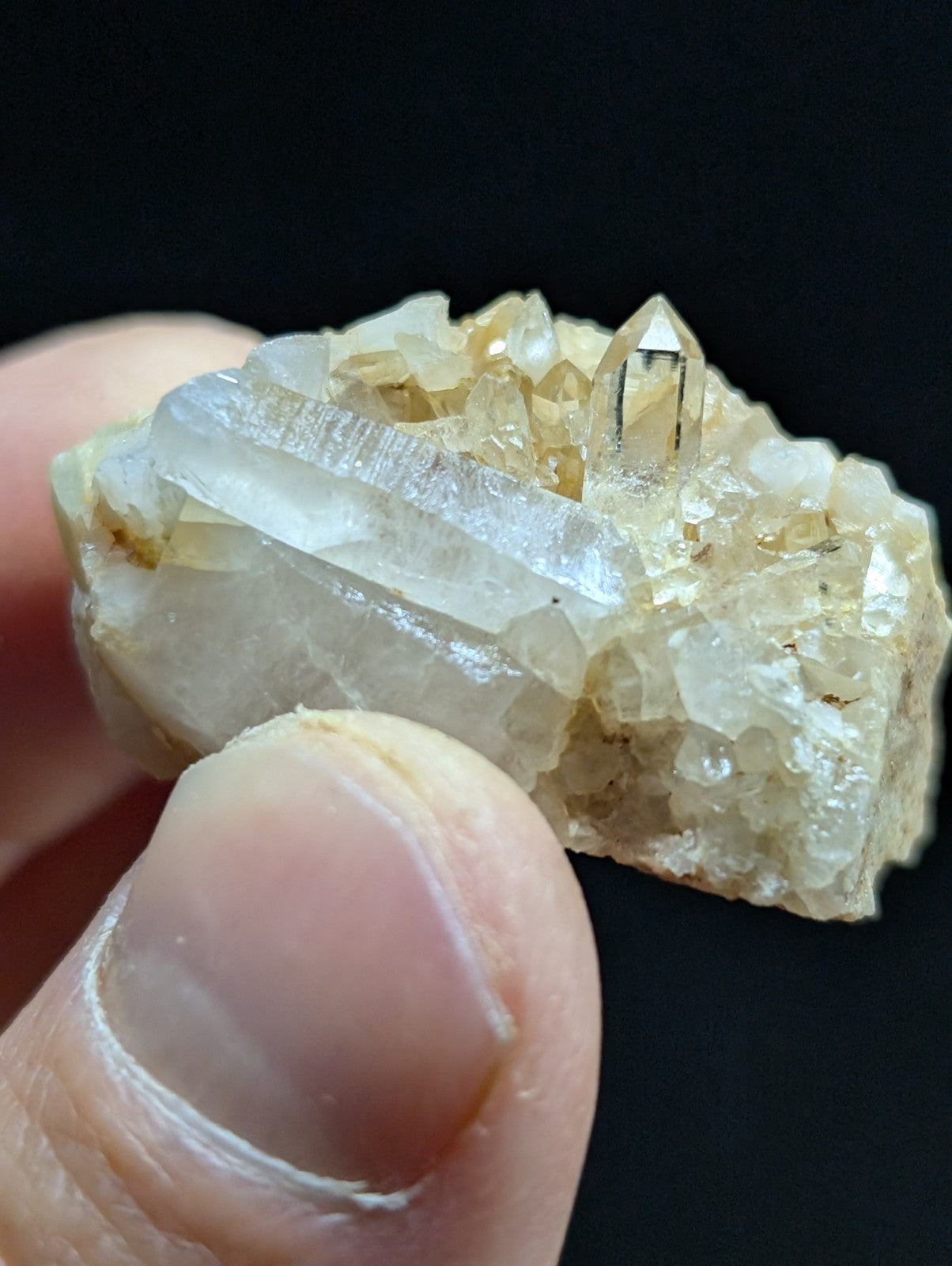 A translucent quartz crystal cluster with clear, pointed crystals emerging from a pale yellowish matrix.