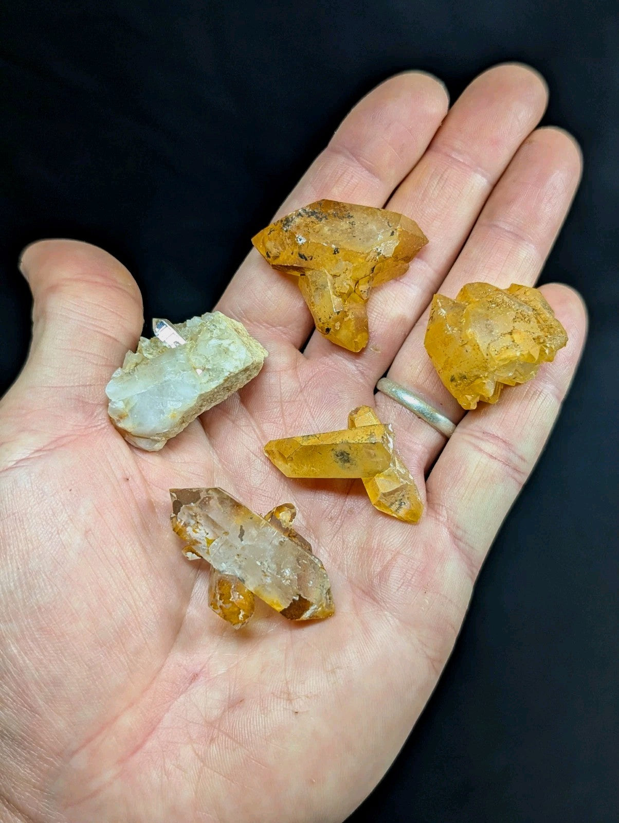 A hand holds several translucent yellow and clear crystal specimens with natural, jagged edges.