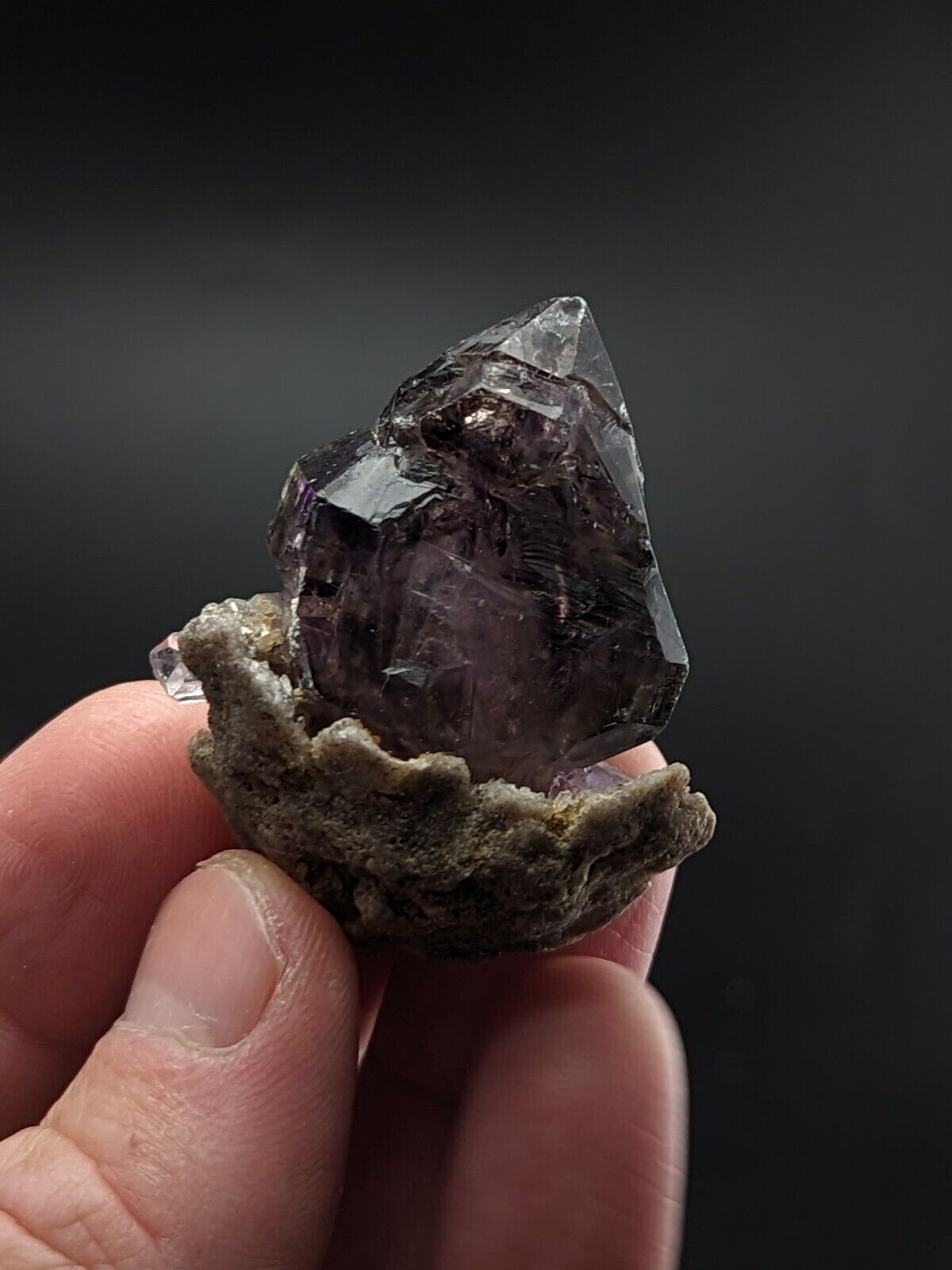Shangaan Amethyst Scepter Crystal from Chibuku Zimbabwe ’Hatched Egg’ - Collectibles:Rocks Fossils & Minerals:Crystals
