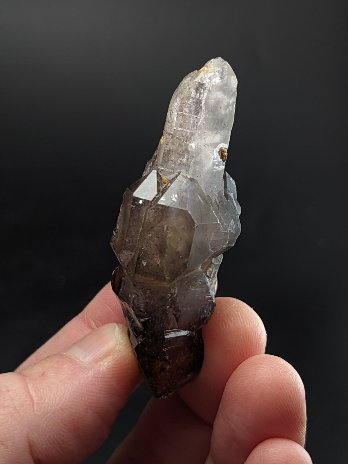 A translucent smoky quartz crystal cluster with a pointed, clear tip and darker brownish base.
