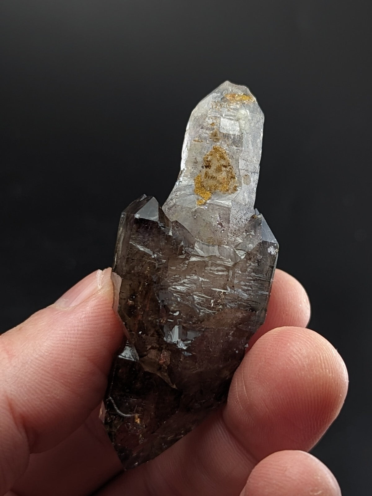A translucent, dark gray quartz crystal with a pointed tip and golden inclusions.