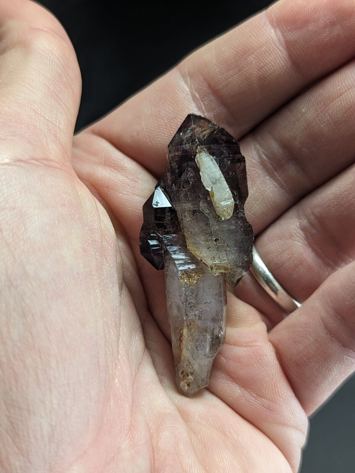 Shangaan Smoky Amethyst Scepter Quartz Chimbuku Mine Zimbabwe Amazing Piece! - Collectibles:Rocks Fossils &