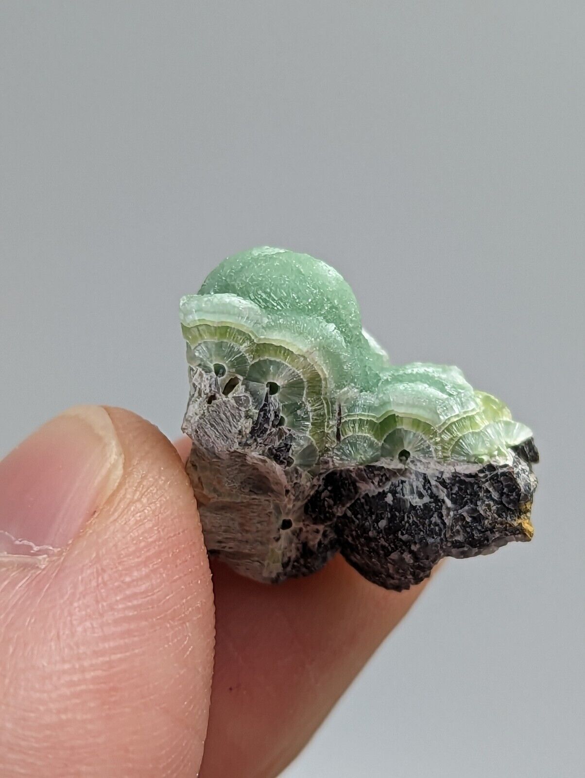Small amazing Wavellite - Fantastic 1990s Old Stock- Mauldin Mountain Arkansas - Collectibles:Rocks Fossils &