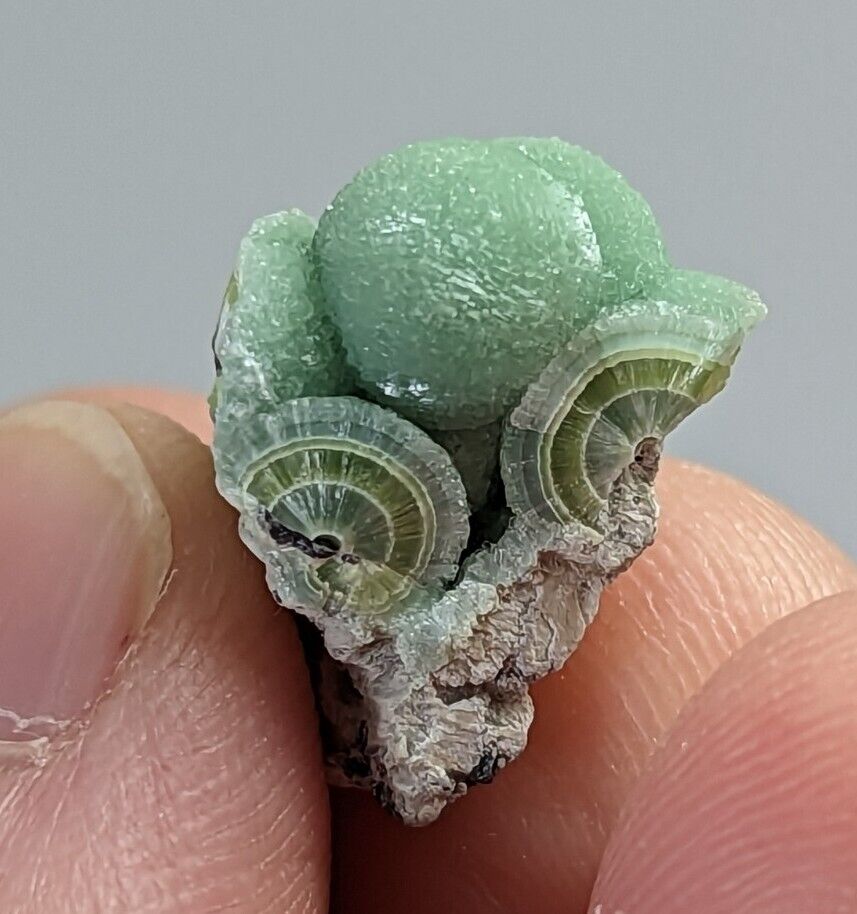 Small amazing Wavellite - Fantastic 1990s Old Stock- Mauldin Mountain Arkansas - Collectibles:Rocks Fossils &