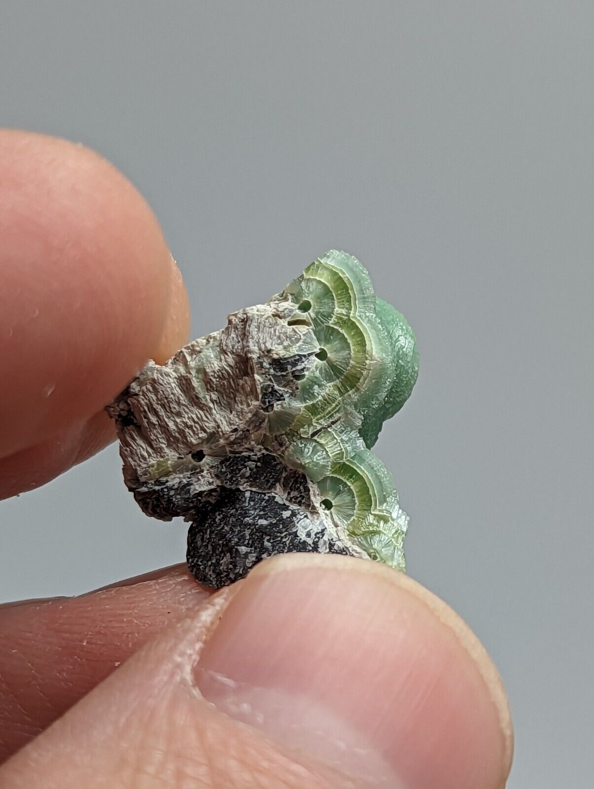 Small amazing Wavellite - Fantastic 1990s Old Stock- Mauldin Mountain Arkansas - Collectibles:Rocks Fossils &