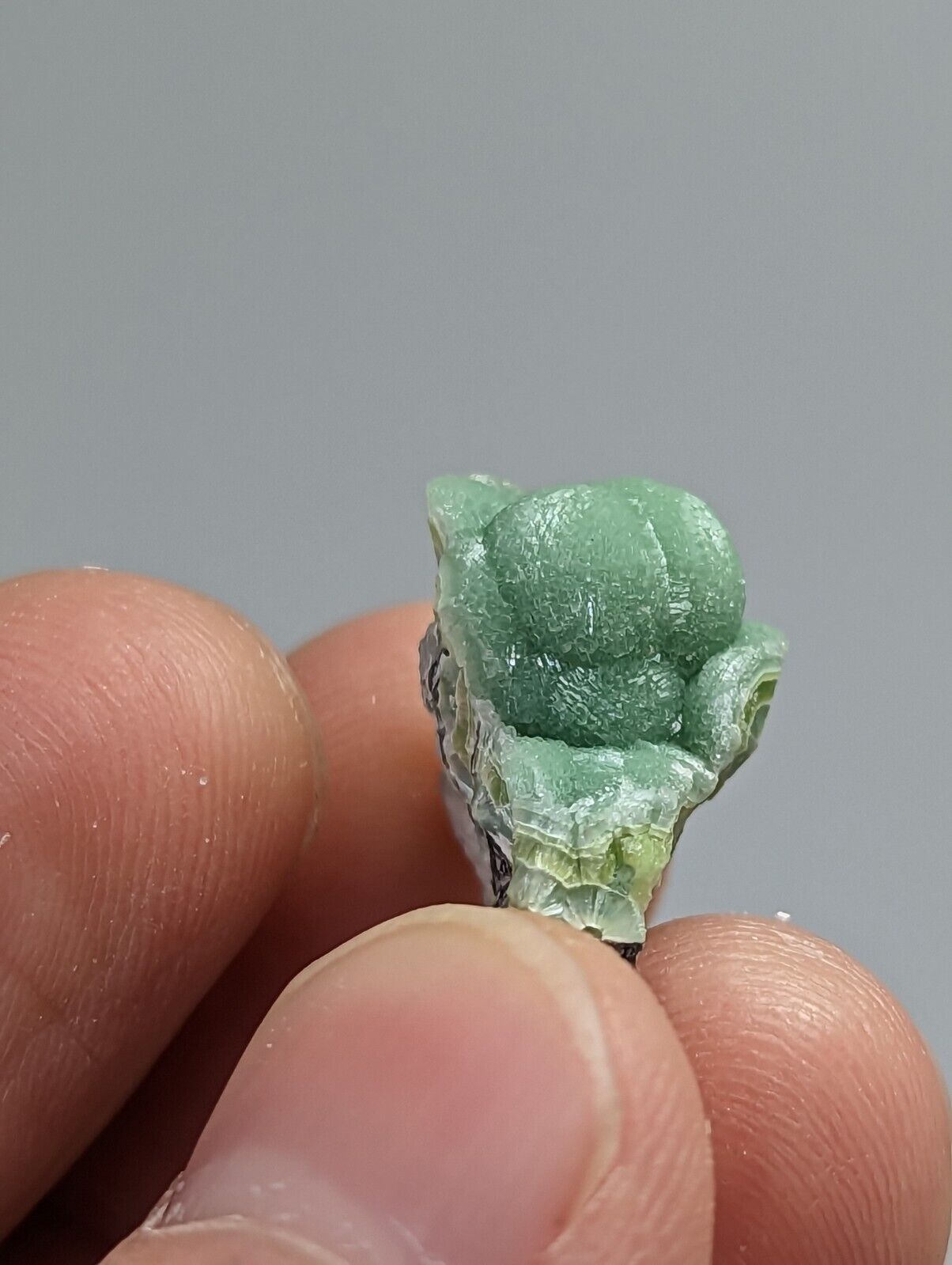 Small amazing Wavellite - Fantastic 1990s Old Stock- Mauldin Mountain Arkansas - Collectibles:Rocks Fossils &