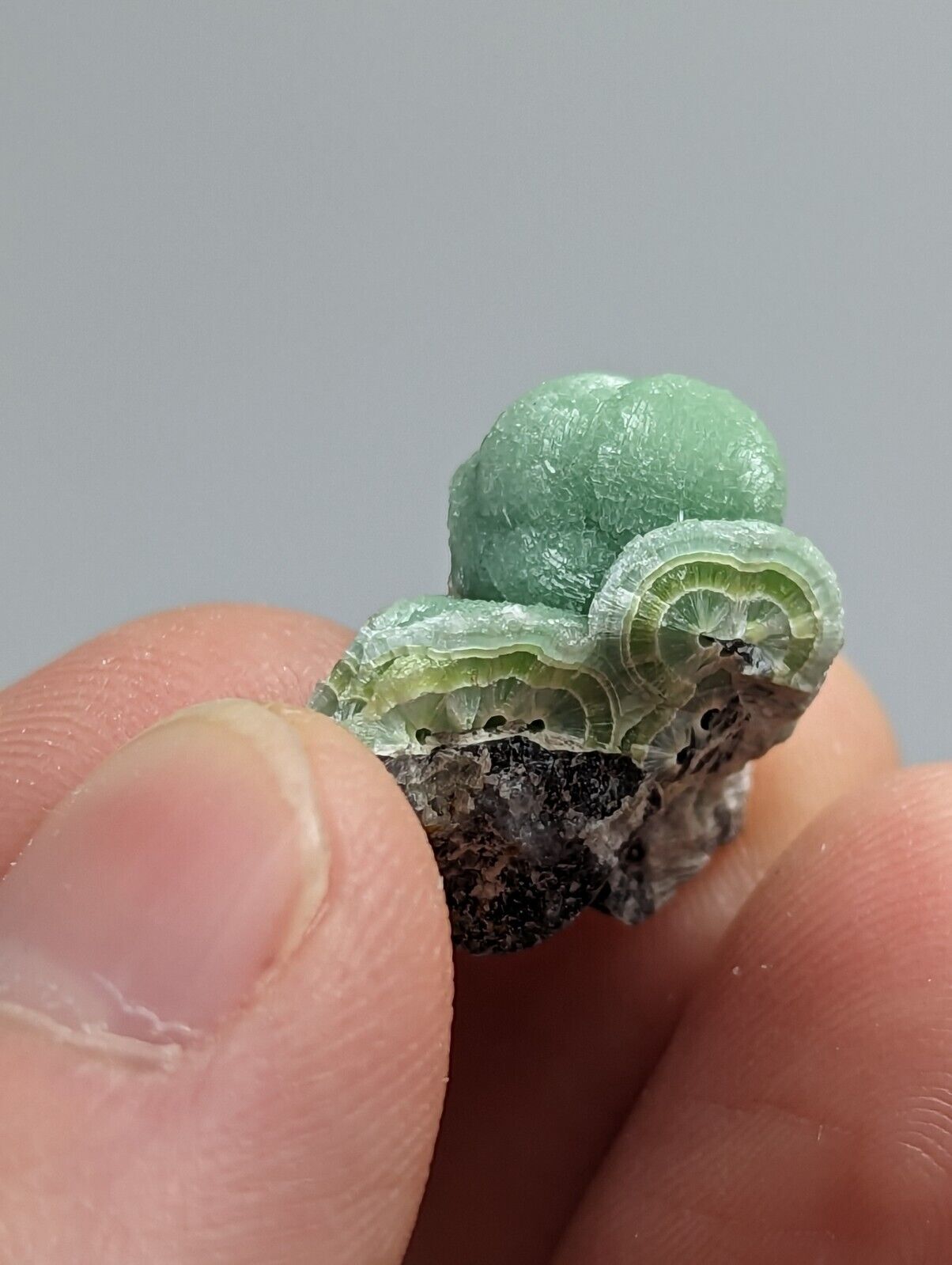 Small amazing Wavellite - Fantastic 1990s Old Stock- Mauldin Mountain Arkansas - Collectibles:Rocks Fossils &