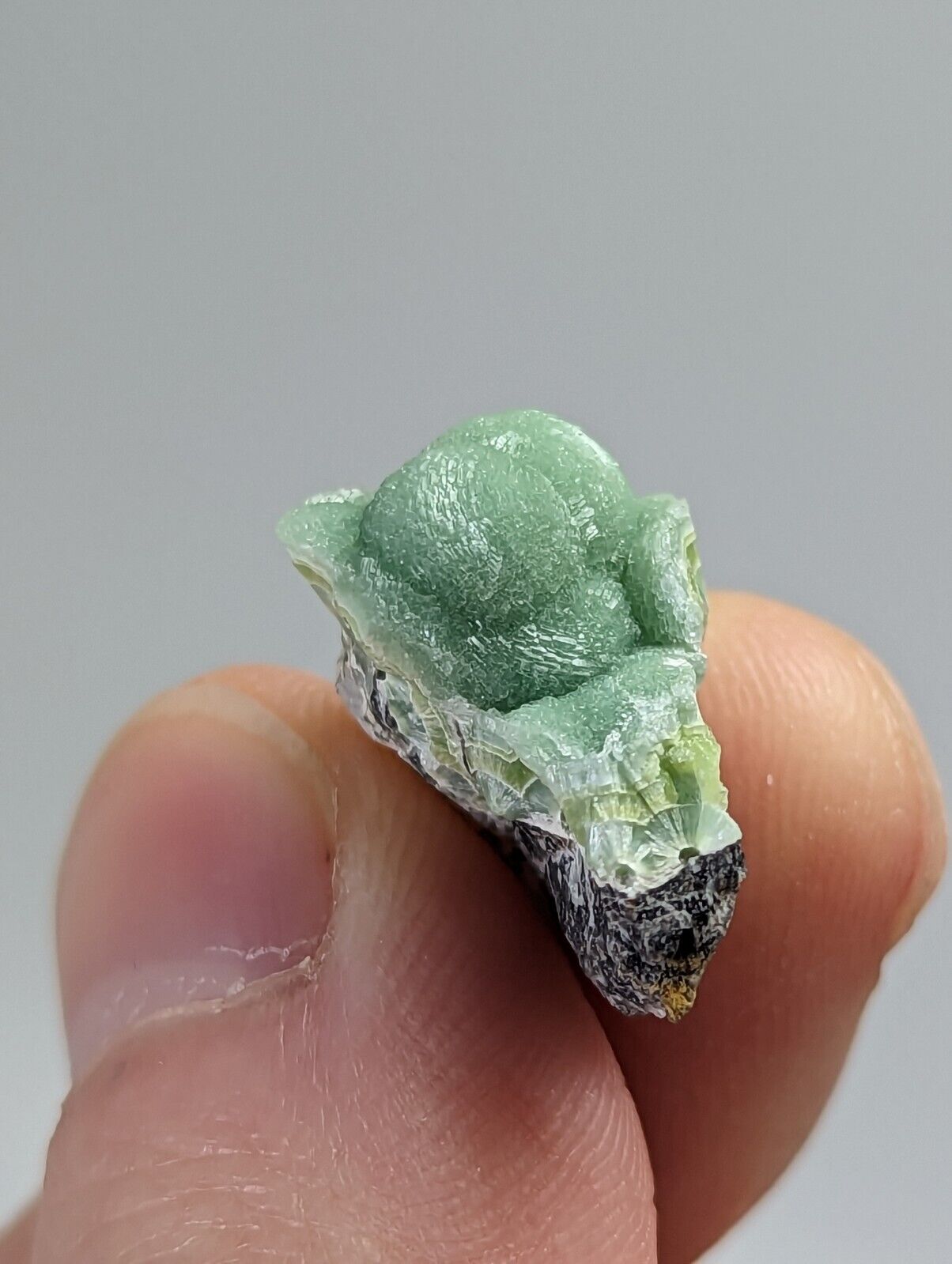 Small amazing Wavellite - Fantastic 1990s Old Stock- Mauldin Mountain Arkansas - Collectibles:Rocks Fossils &