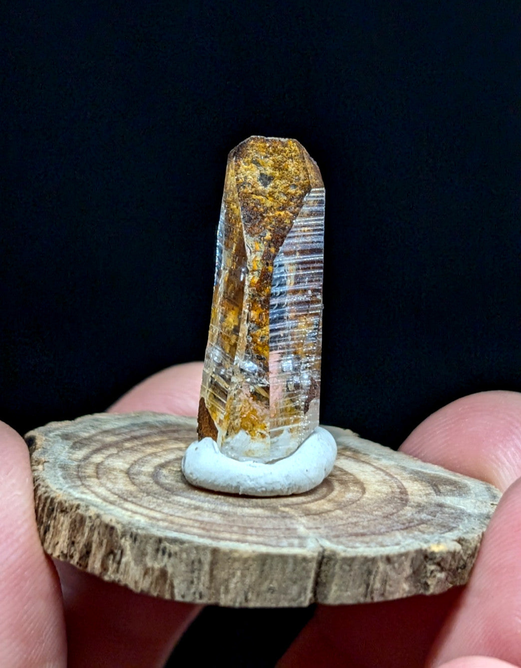 A translucent golden-brown crystal with striations, mounted on a white base and displayed atop a rustic wooden slice.