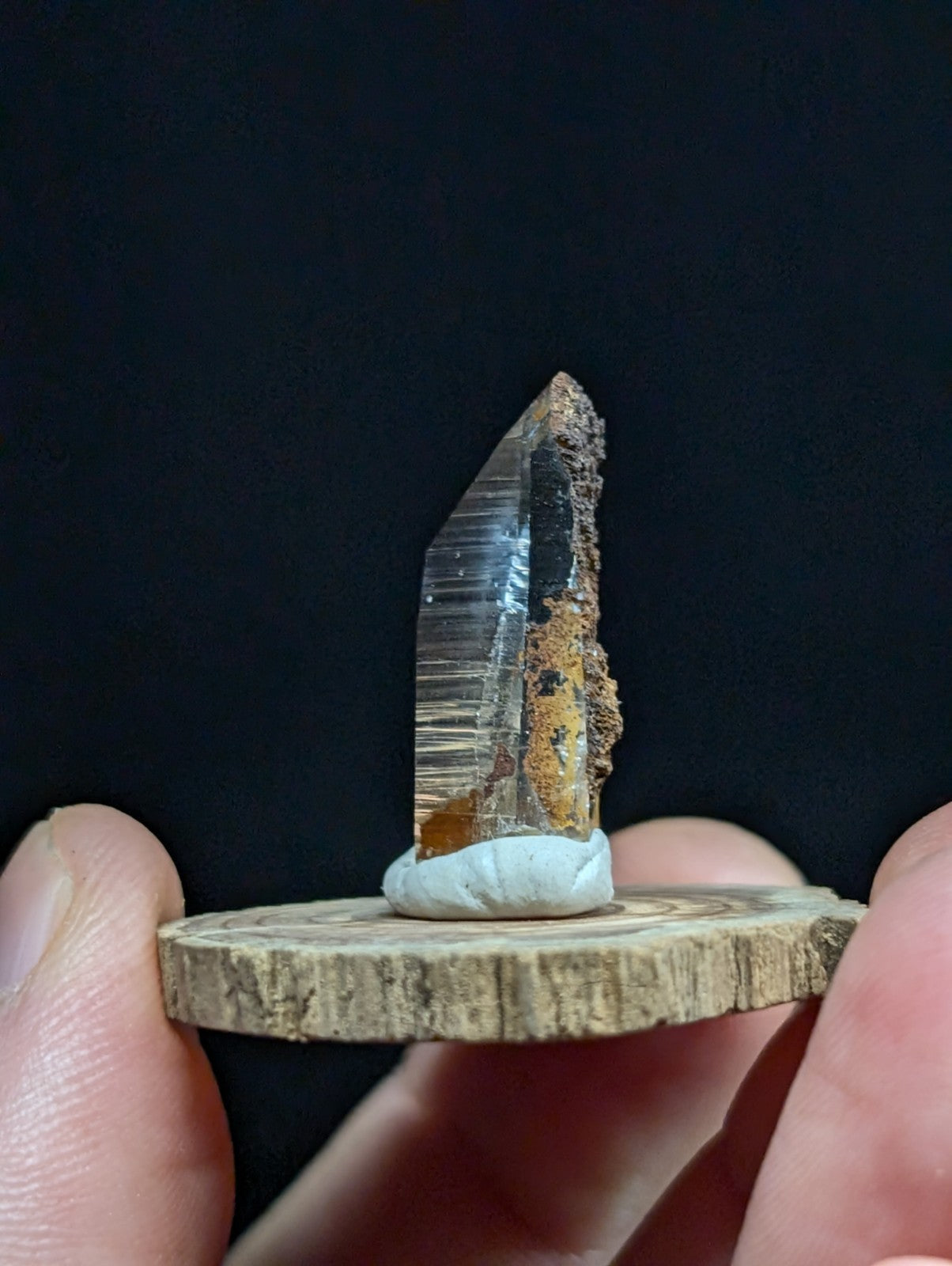 A clear, translucent quartz crystal with natural striations and earthy brown mineral inclusions stands upright on a small white ceramic base, which is mounted on a circular slice of wood.