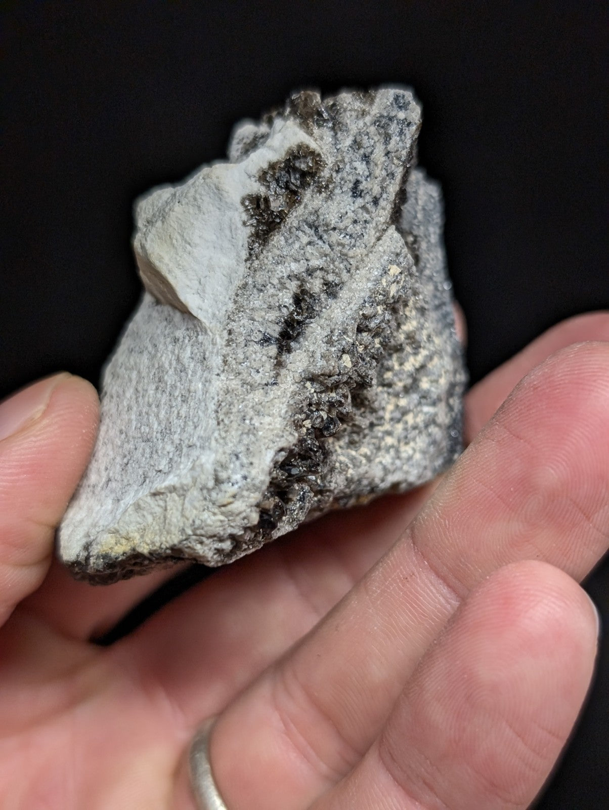 A rough, irregularly shaped gray rock with dark speckles and a textured surface.