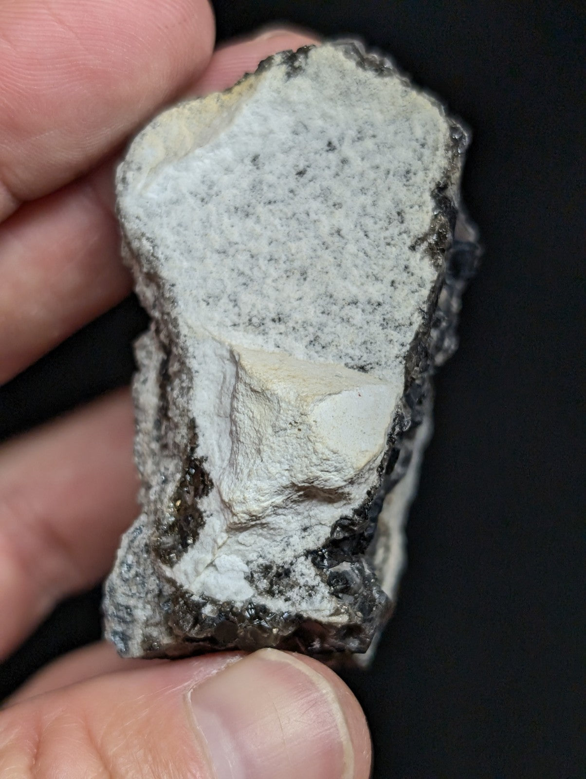 A rough, irregularly shaped rock with a predominantly white surface speckled with dark gray and black mineral inclusions.