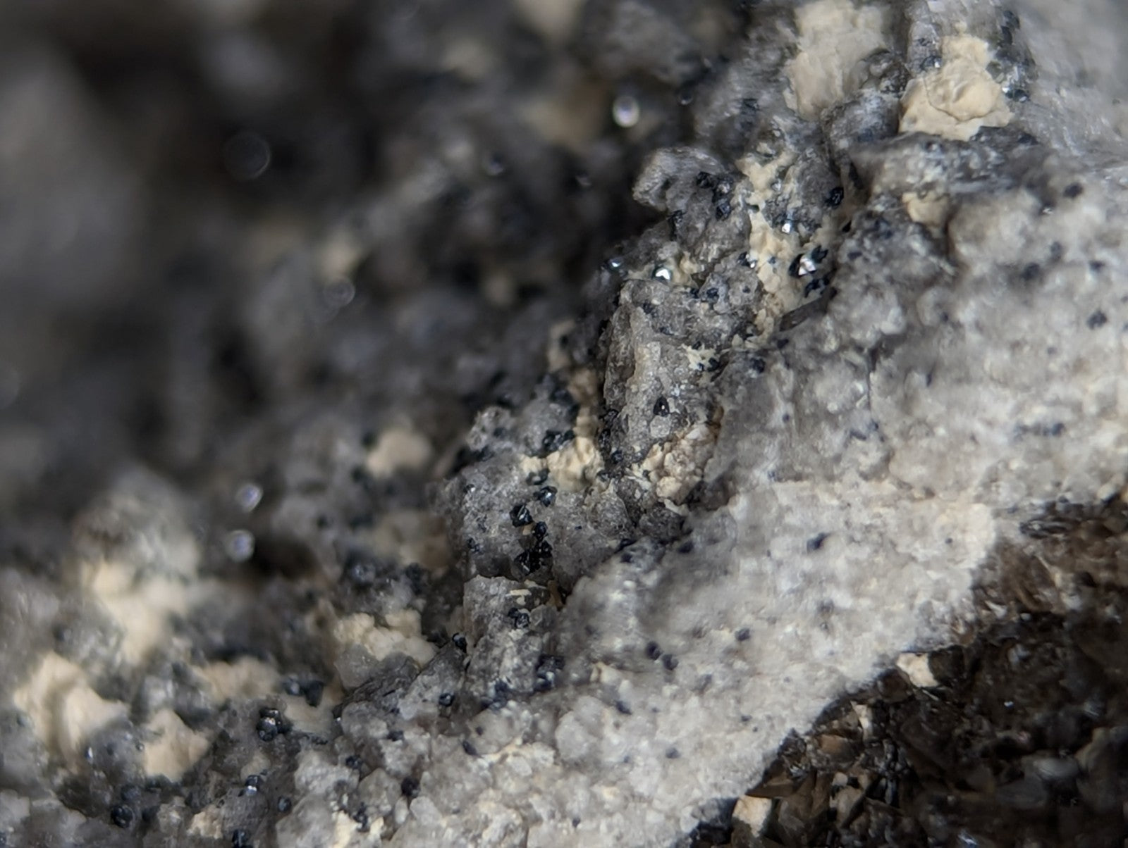 A rugged, textured rock surface with a mottled pattern of dark gray and light beige mineral deposits.