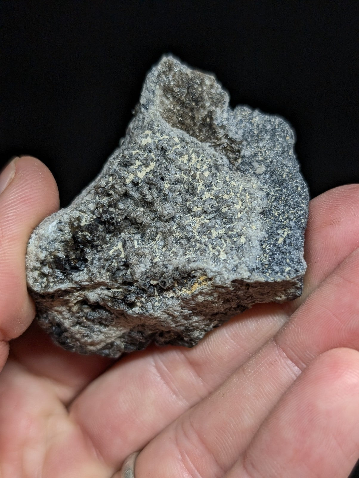 A rough, irregularly shaped gray rock with speckled white and black mineral flecks.