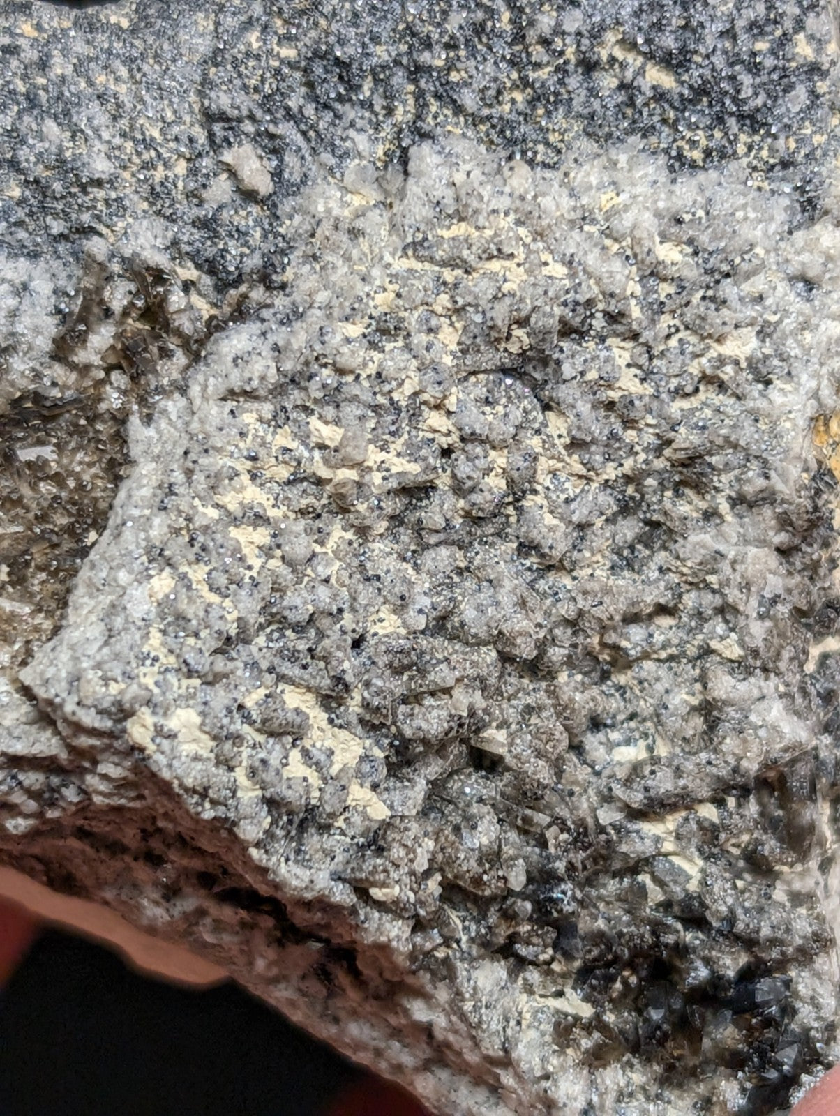A rugged, speckled gray rock with a coarse, granular texture and patches of pale yellow mineral veins.