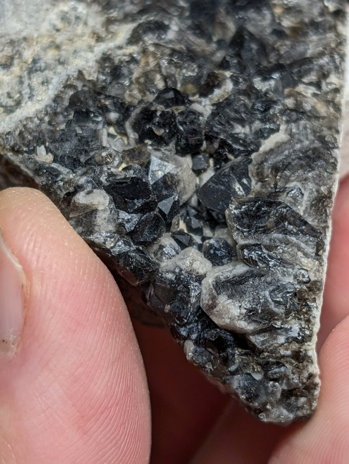 A hand holds a dark, crystalline mineral specimen with sharp-edged black crystals growing from a lighter gray matrix.