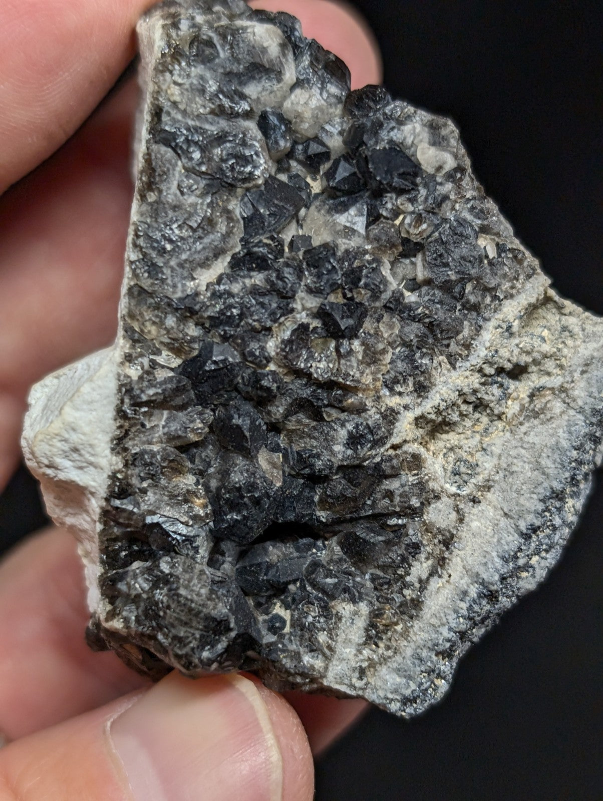 A rugged, irregularly shaped rock specimen featuring a dense cluster of dark, faceted crystals embedded in a lighter gray matrix.