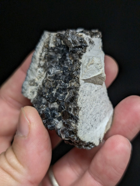 A hand holds a rough, irregularly shaped mineral specimen featuring a striking contrast between its light gray matrix and dark, crystalline inclusions.